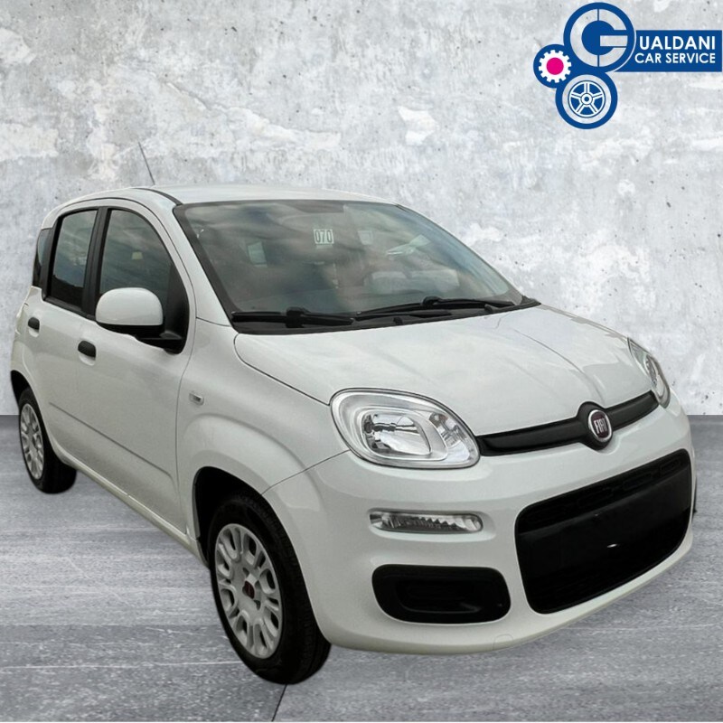 FIAT Panda 3ª serie Panda 1.2 Easy Van 4 posti