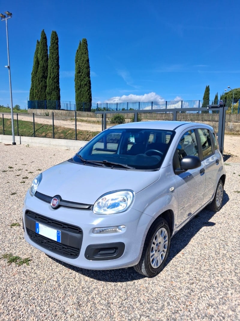 FIAT Panda 3ª serie Panda 1.2 Easy