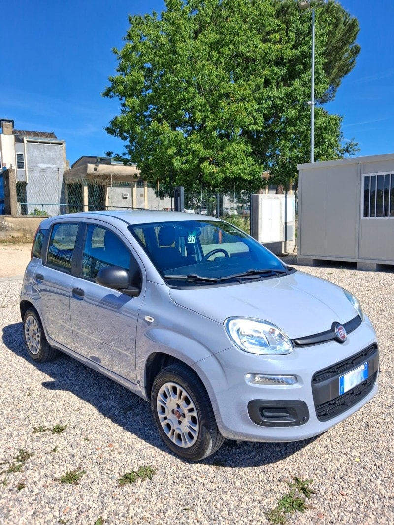 FIAT Panda 3ª serie Panda 1.2 Easy