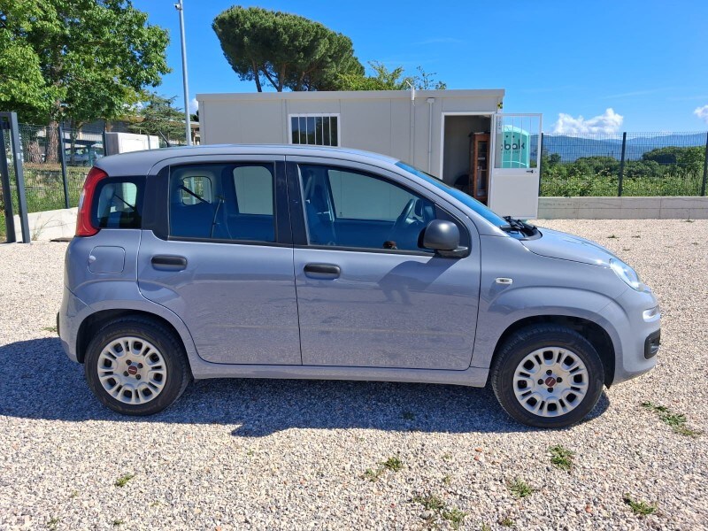 FIAT Panda 3ª serie Panda 1.2 Easy
