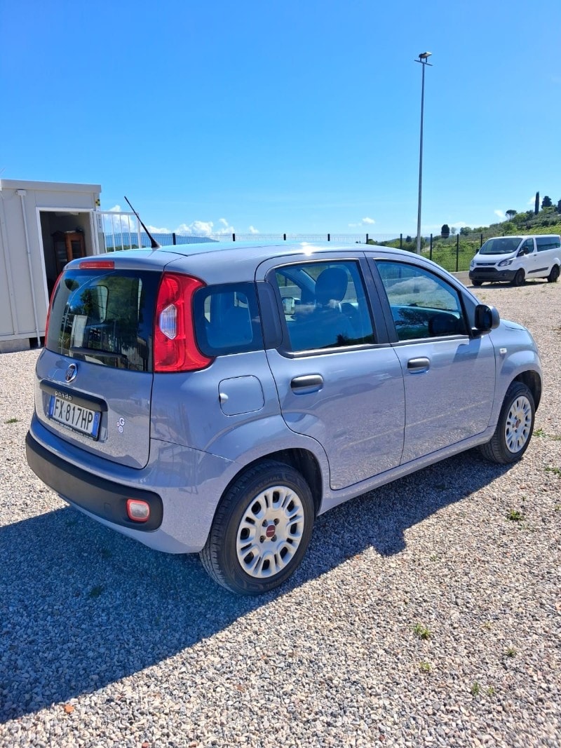 FIAT Panda 3ª serie Panda 1.2 Easy