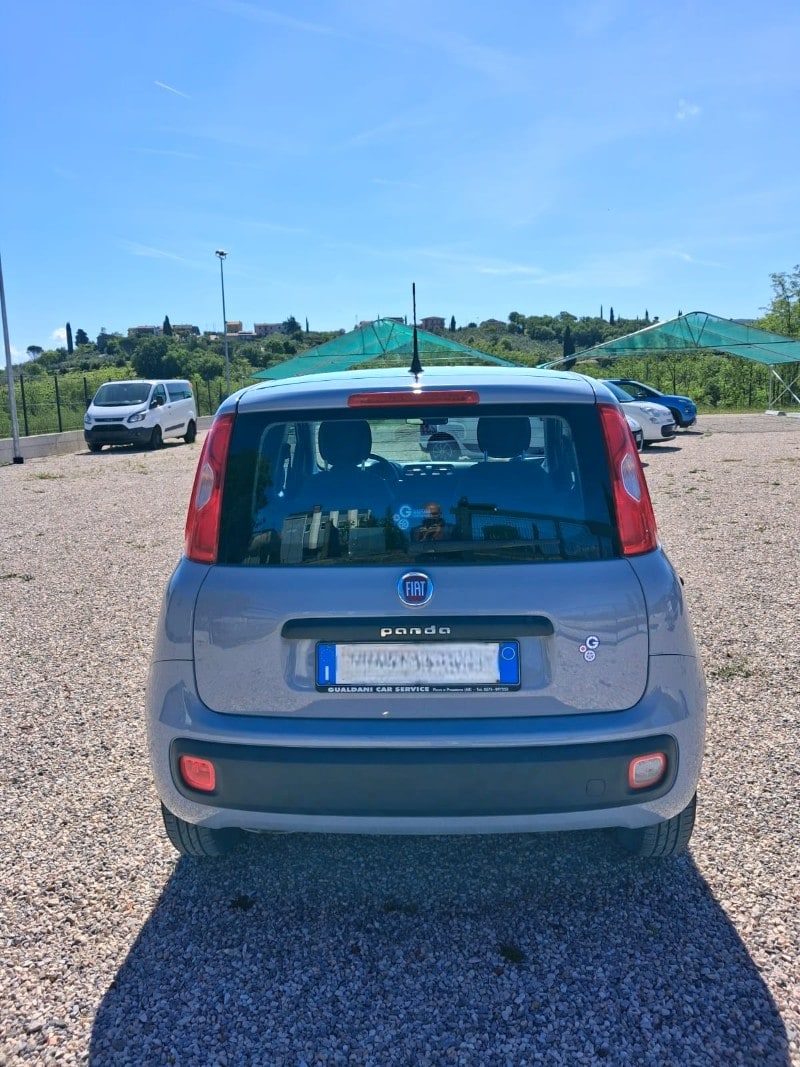 FIAT Panda 3ª serie Panda 1.2 Easy