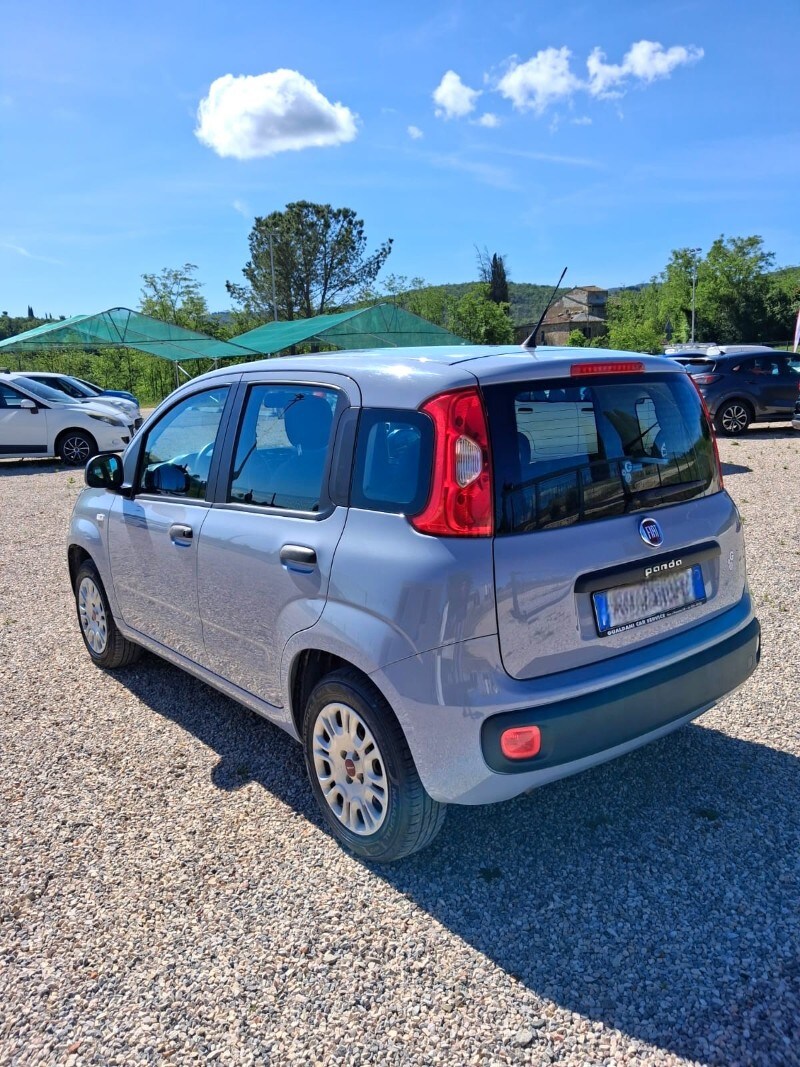 FIAT Panda 3ª serie Panda 1.2 Easy