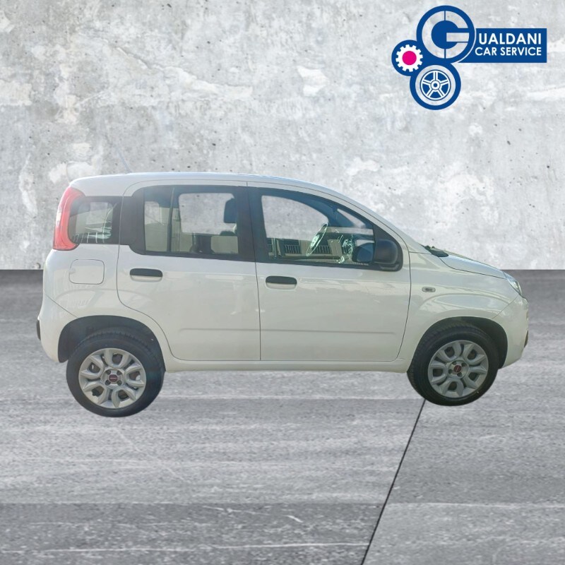 FIAT Panda 3ª serie Panda 0.9 TwinAir Turbo Natural Power Easy