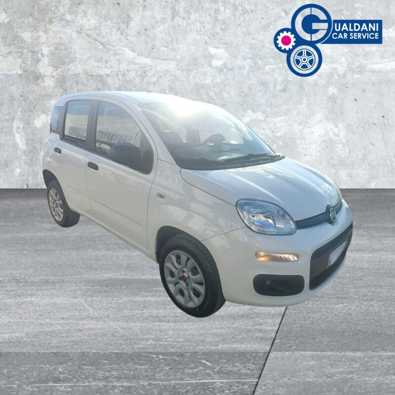 FIAT Panda 3ª serie Panda 0.9 TwinAir Turbo Natural Power Easy