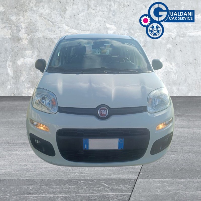 FIAT Panda 3ª serie Panda 0.9 TwinAir Turbo Natural Power Easy
