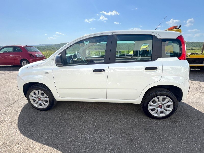 FIAT Panda 3ª serie Panda 0.9 TwinAir Turbo Natural Power Easy