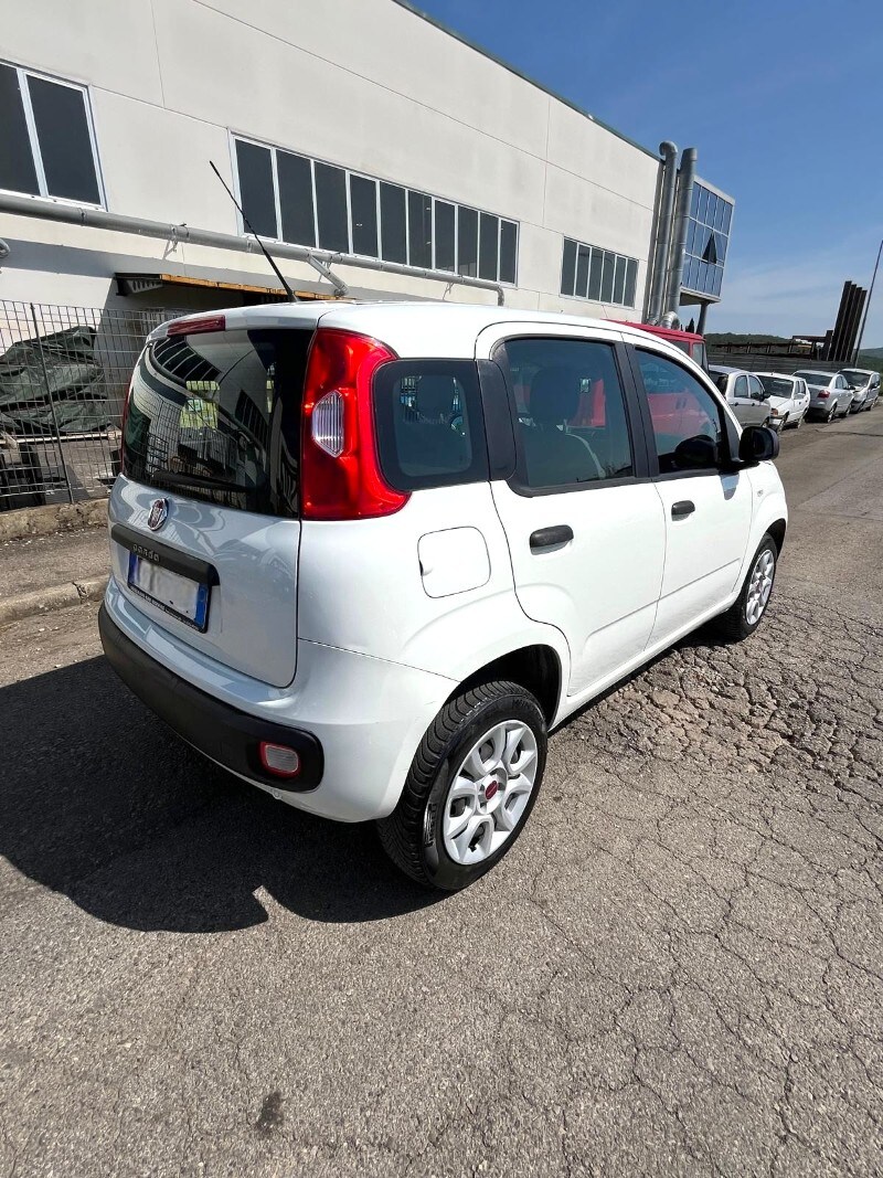 FIAT Panda 3ª serie Panda 0.9 TwinAir Turbo Natural Power Easy