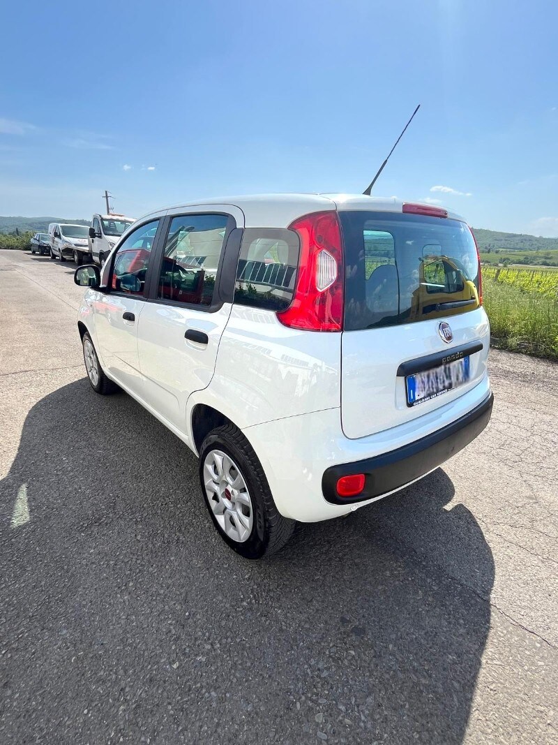 FIAT Panda 3ª serie Panda 0.9 TwinAir Turbo Natural Power Easy