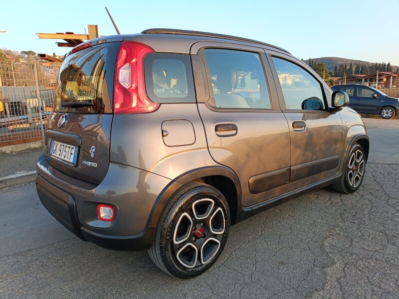 FIAT Panda 3ª serie Panda 1.0 FireFly S&S Hybrid City Life