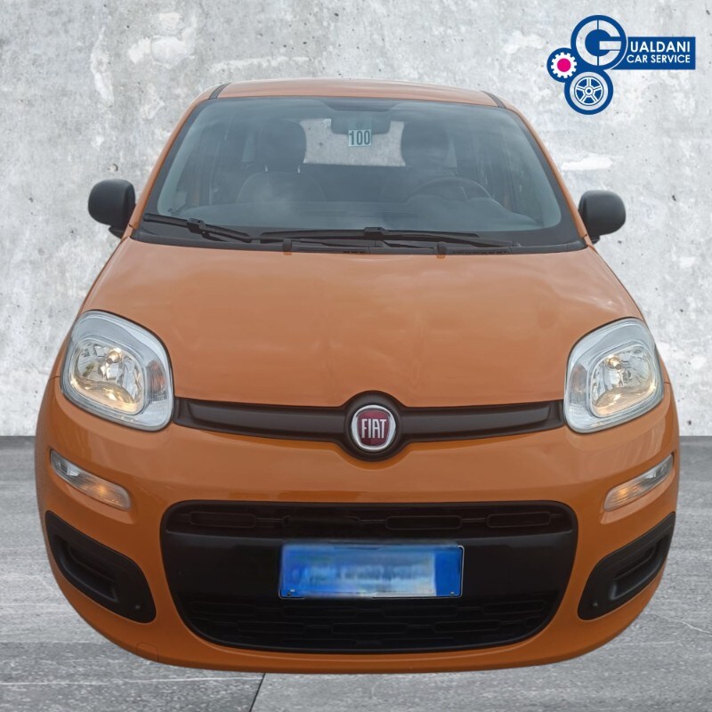 FIAT Panda 3ª serie Panda 1.0 FireFly S&S Hybrid