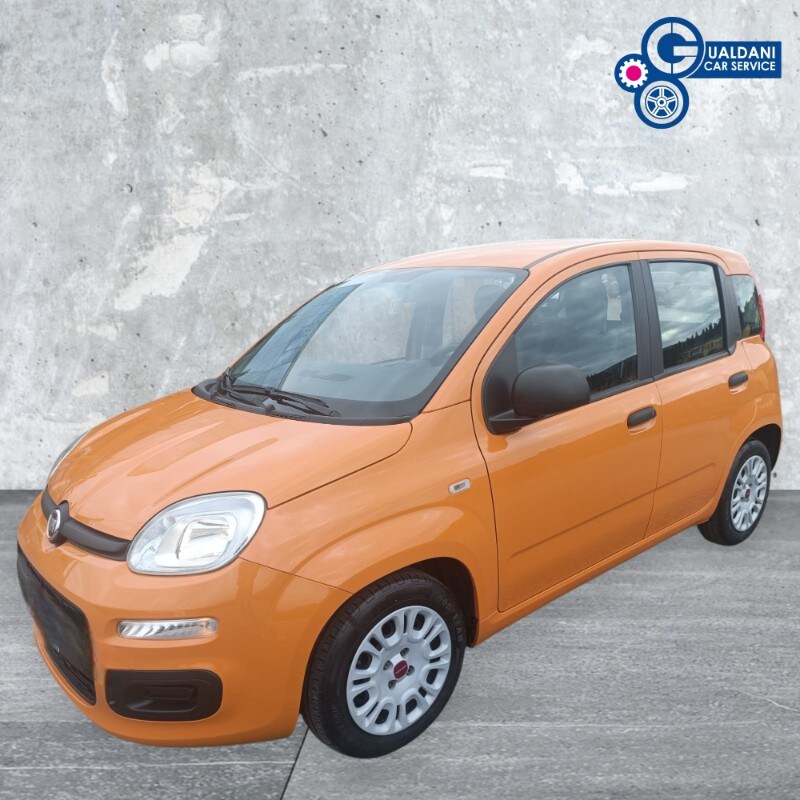 FIAT Panda 3ª serie Panda 1.0 FireFly S&S Hybrid