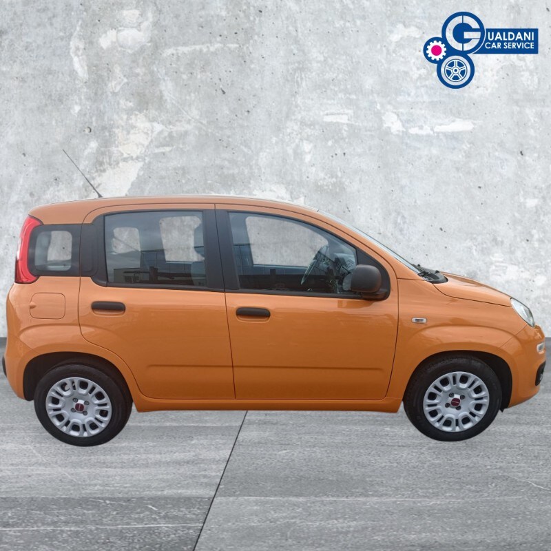 FIAT Panda 3ª serie Panda 1.0 FireFly S&S Hybrid