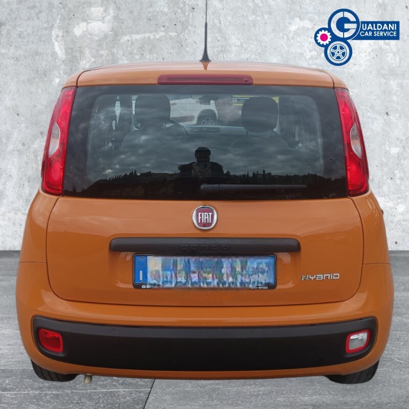 FIAT Panda 3ª serie Panda 1.0 FireFly S&S Hybrid