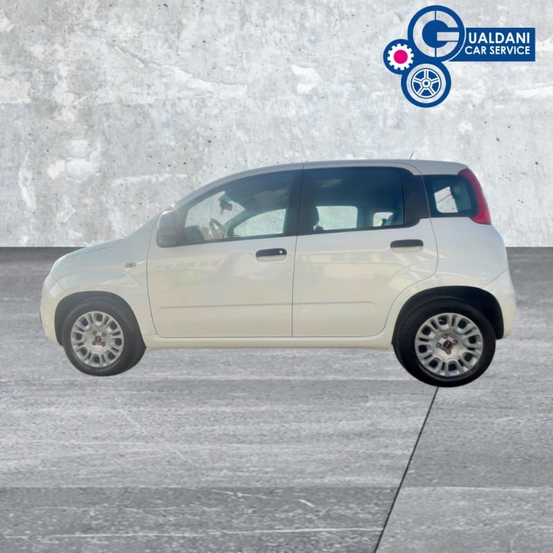 FIAT Panda 3ª serie Panda 1.0 FireFly S&S Hybrid