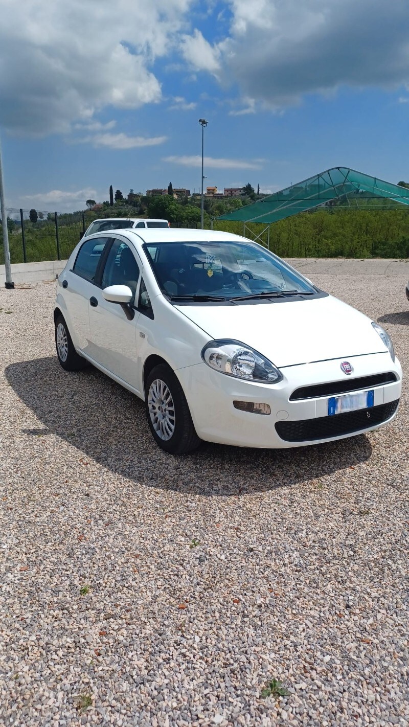 FIAT Punto 4ª serie Punto 1.2 8V 5 porte Street