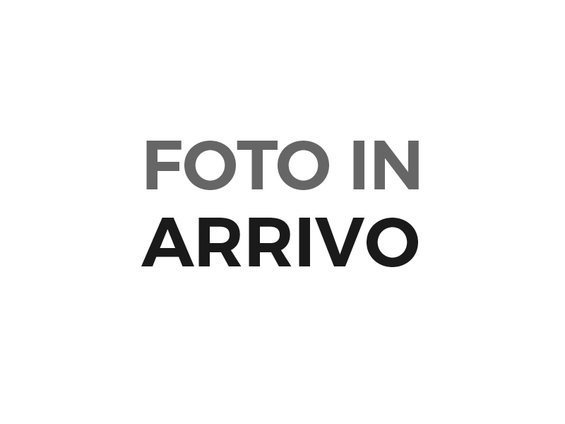 FIAT Ducato (4ª serie)